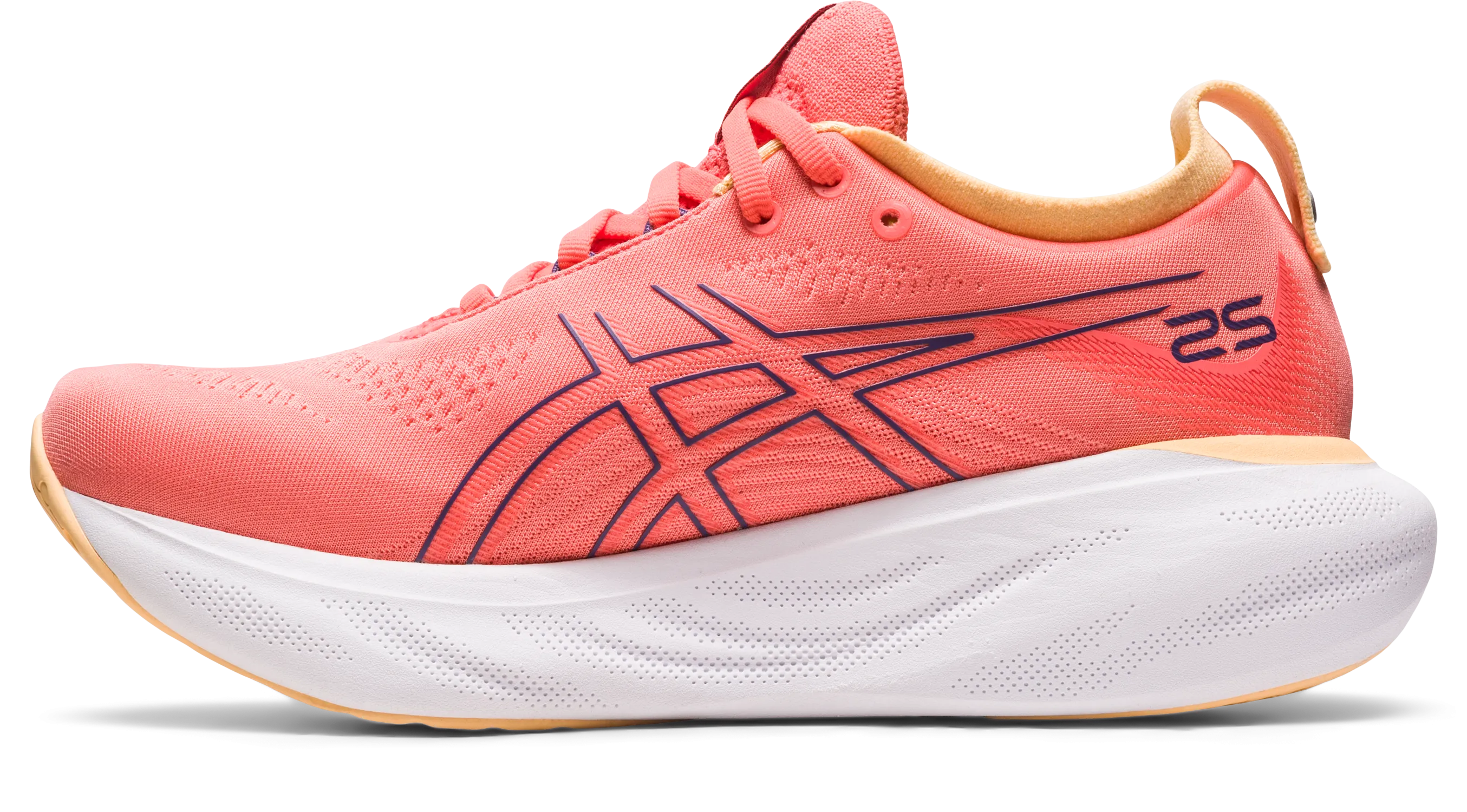 Asics Gel-Nimbus 25 Running Shoes