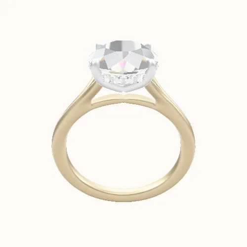 Split Cathedral Engagement Ring With Low Set Pave  Hidden Halo Head