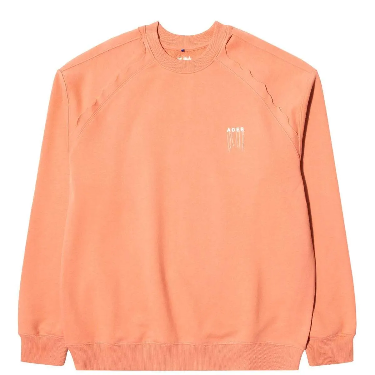 SW01 SWEATSHIRT Pink